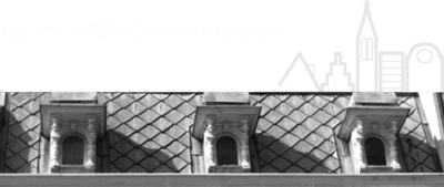 Zoekt u een professioneel leidekkersbedrijf?