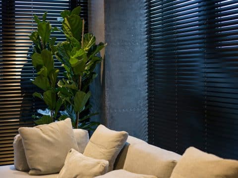 Motorized,Wood,Blinds,In,The,Interior.,A,Houseplant,Is,Near