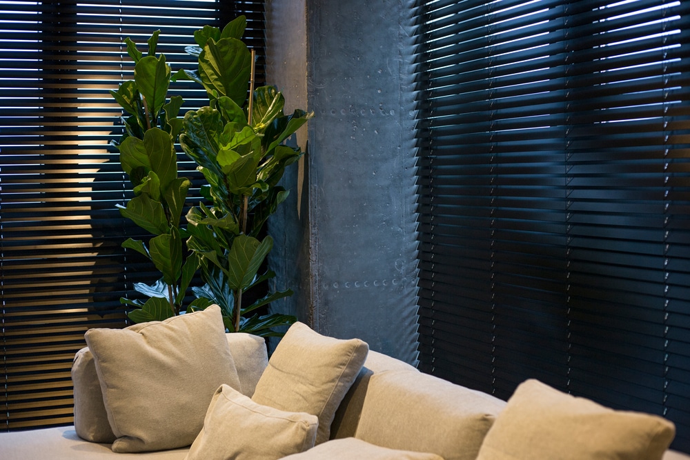 Motorized,Wood,Blinds,In,The,Interior.,A,Houseplant,Is,Near